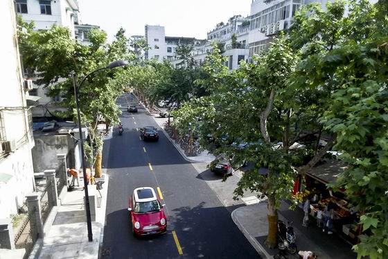 复件 1526023272715_副本.jpg