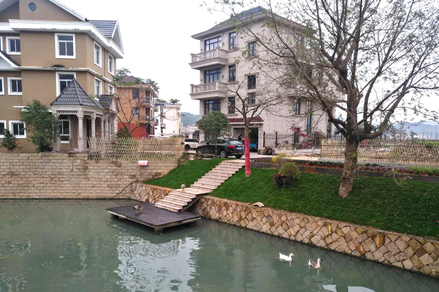 1548837587261073.jpg 1548837587261073.jpg