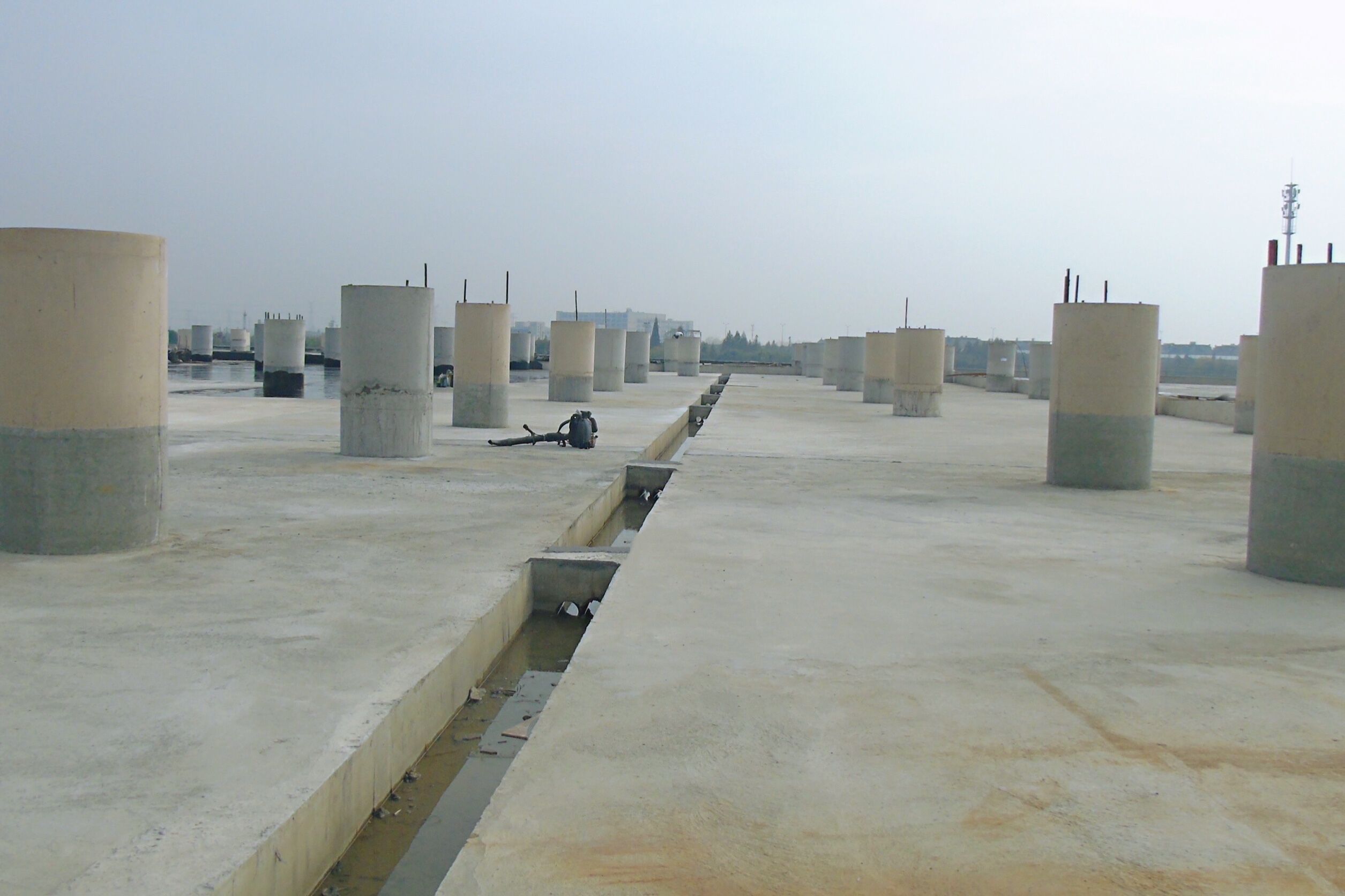 1607314229698408.jpg 1607314229698408.jpg